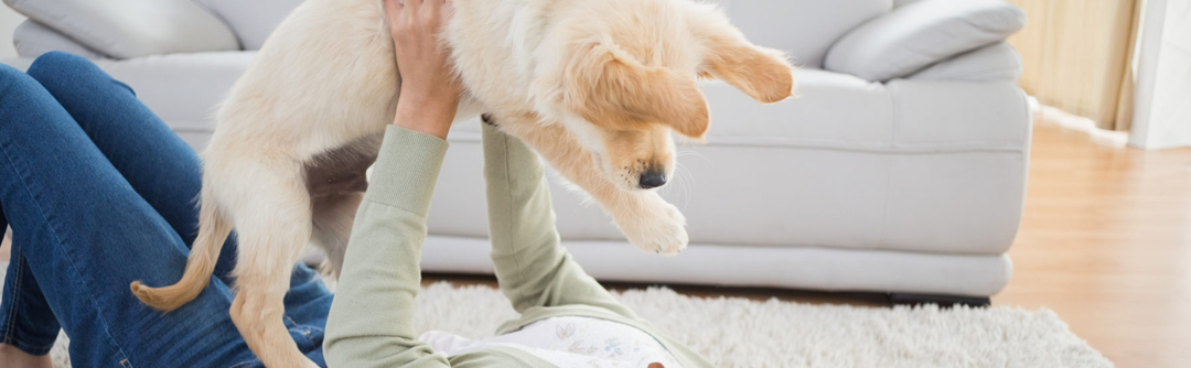 Naturalny środek do usuwania moczu Naturalny środek odplamiający, neutralizator zapachów